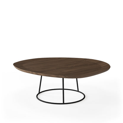 Modern Organically Shaped Coffee Table