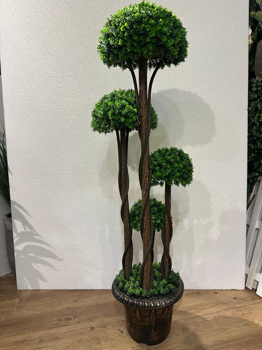 Spiral Trunk Topiary
