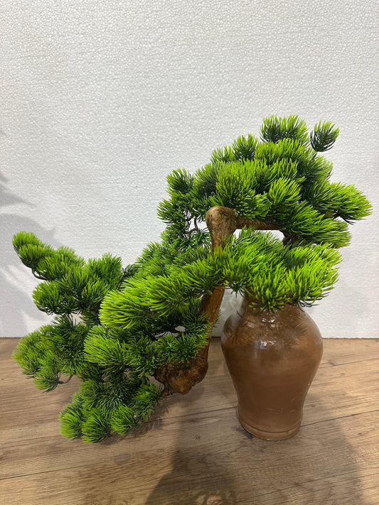 Green Harmony Décor | RoomVibe UAE