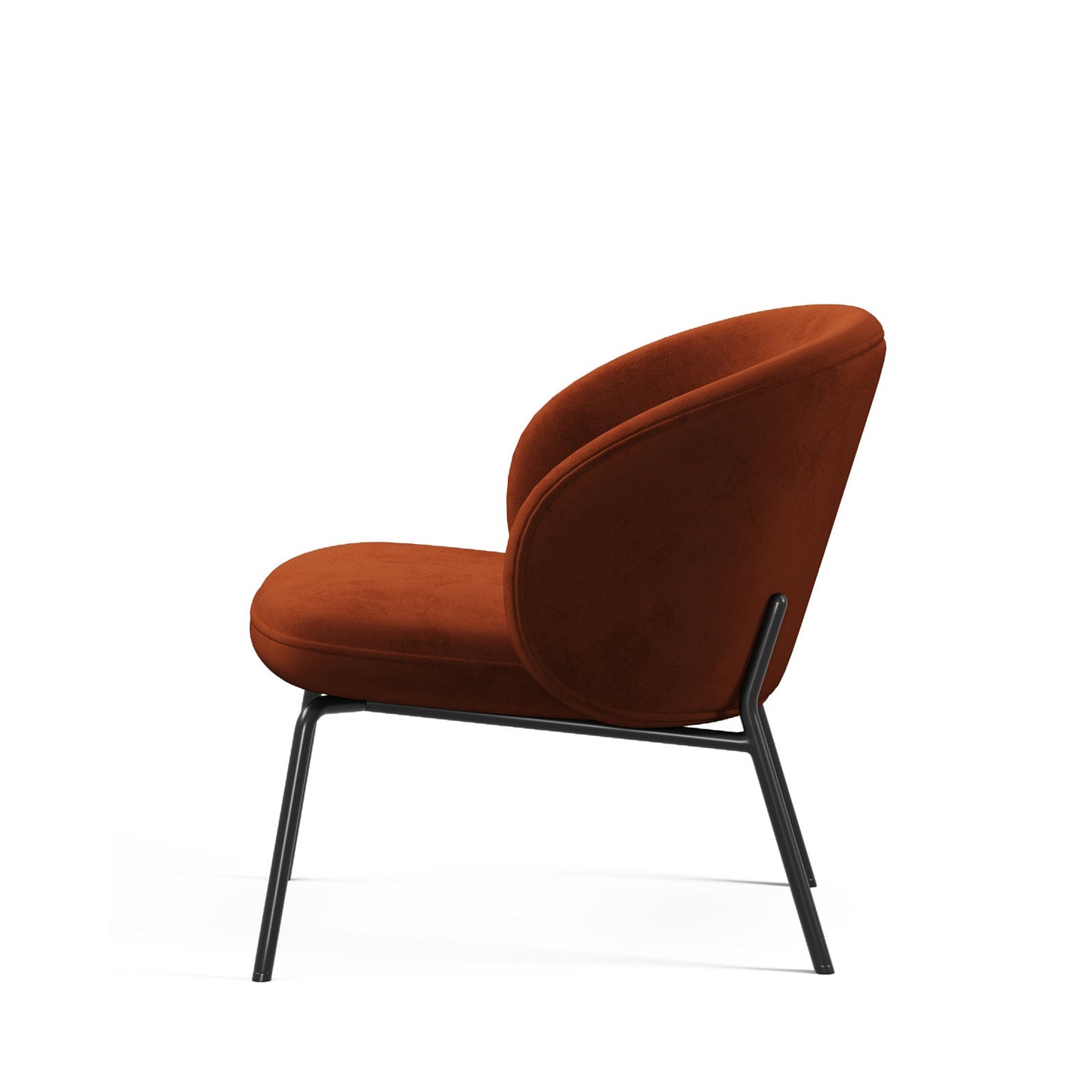 Luna Occasional Arm Chair